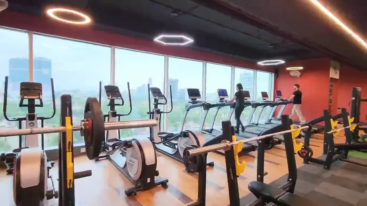 The cardio row along a gym window wall: treadmills and cross-trainers facing the city, a barbell rack in front