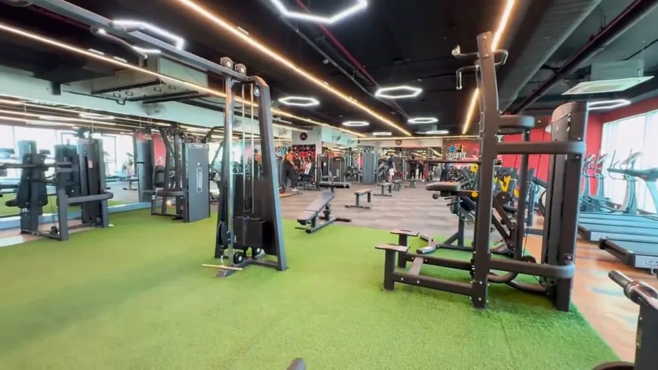 Wide view of a gym floor: turf, cable machines and a rig under hexagon lights, the treadmill row along the windows