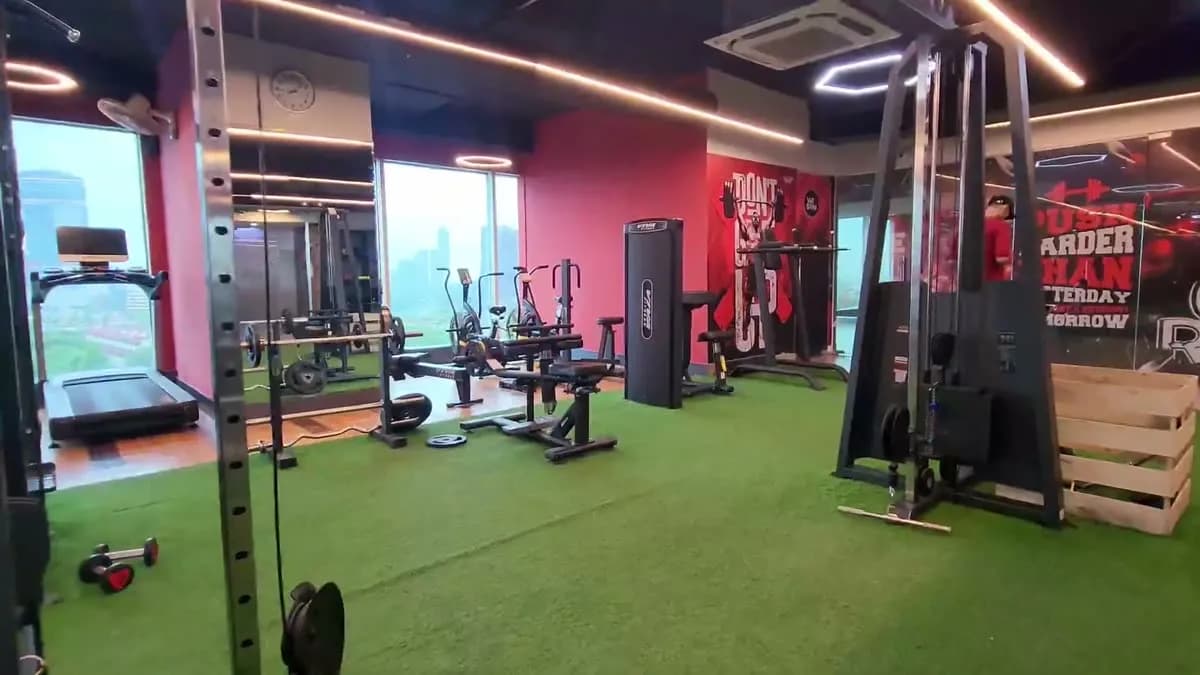 WTF gym floor with turf flooring, a functional training rig and free weights