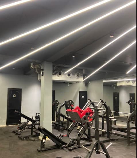 Flex Force Fitness