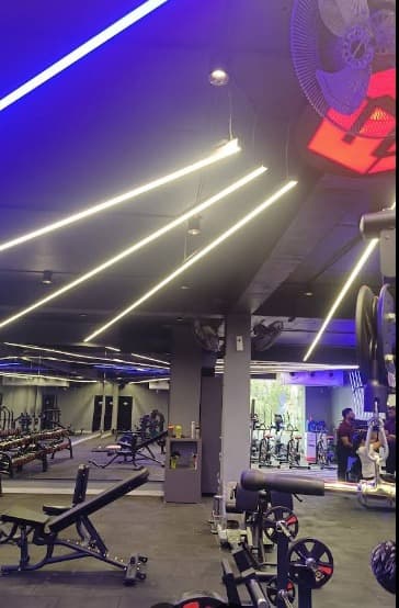 Flex Force Fitness