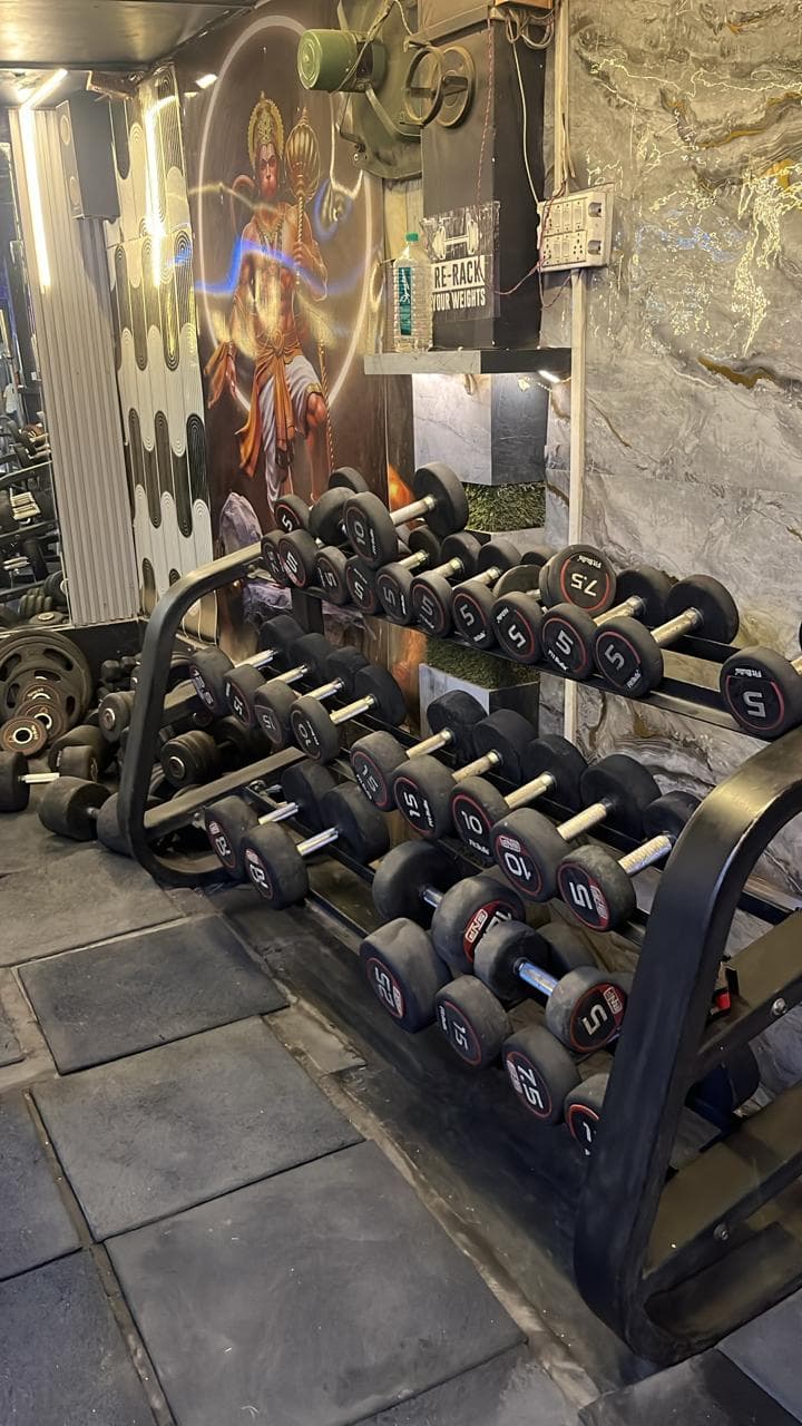Fitness Line Gym