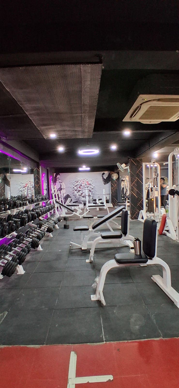 Smash Fitt - Unisex Gym