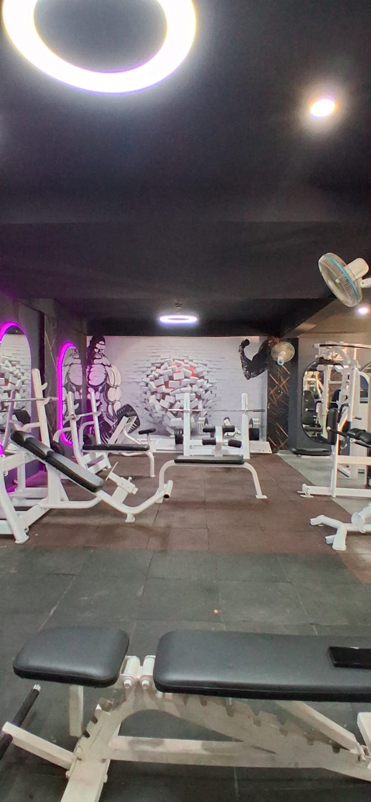 Smash Fitt - Unisex Gym