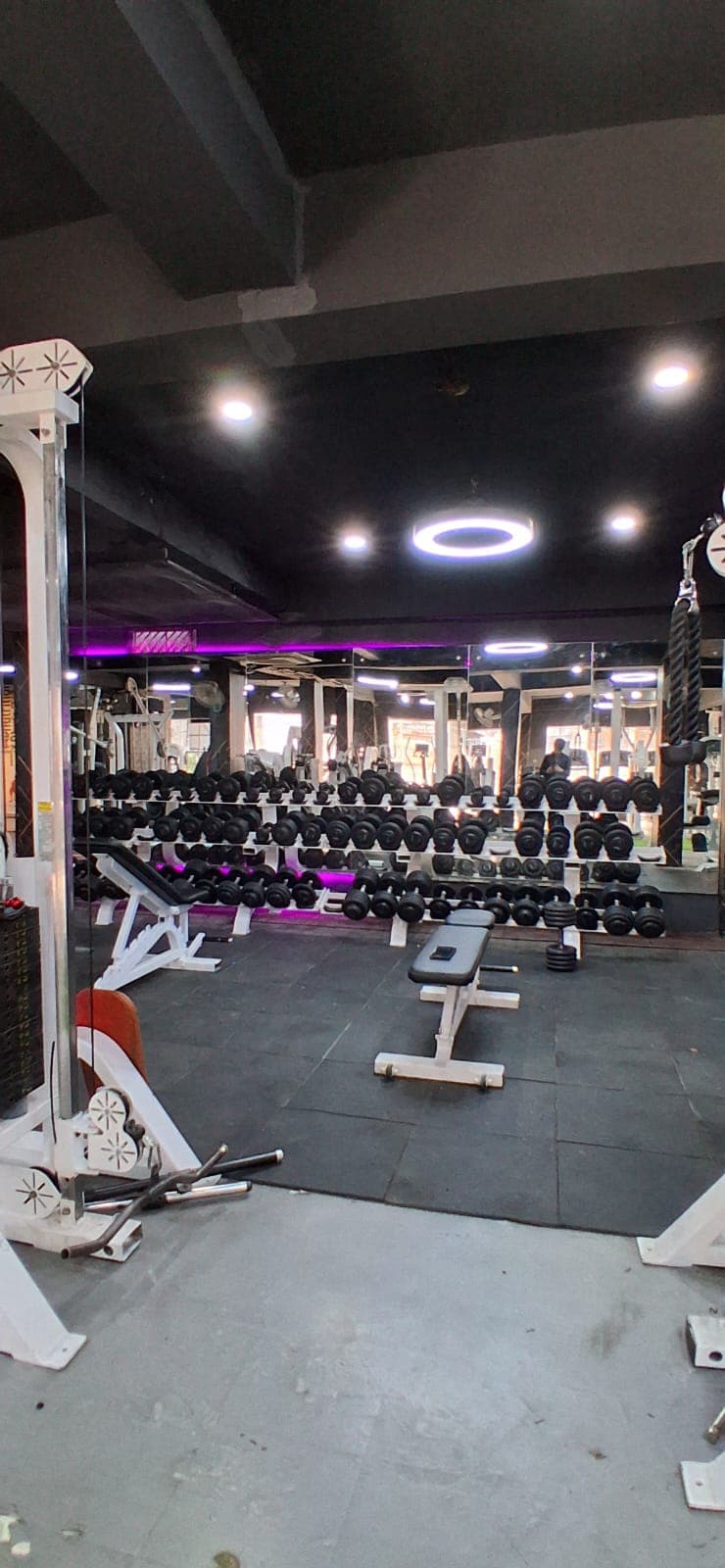 Smash Fitt - Unisex Gym