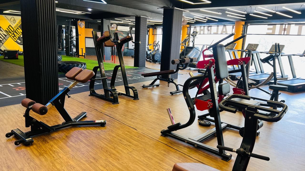 THE ALPHA GYM 24*7